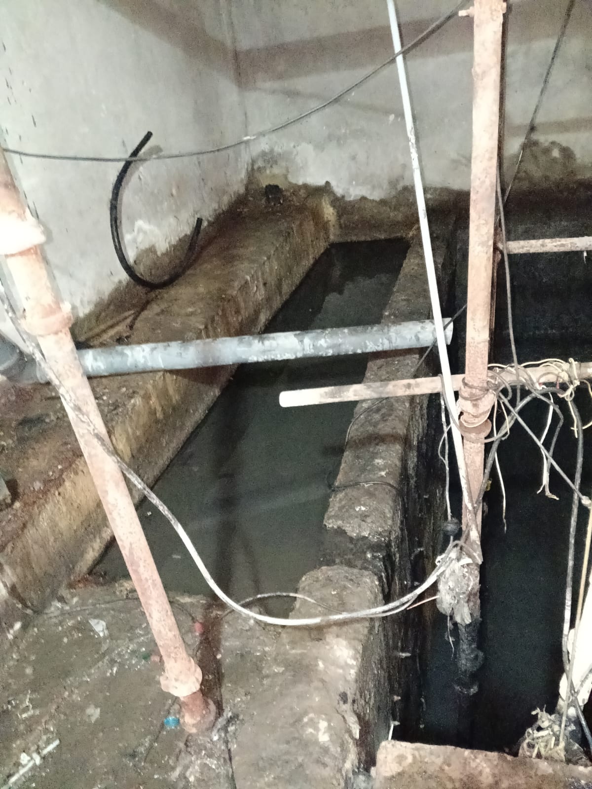 Septic Tank Cleaning Service