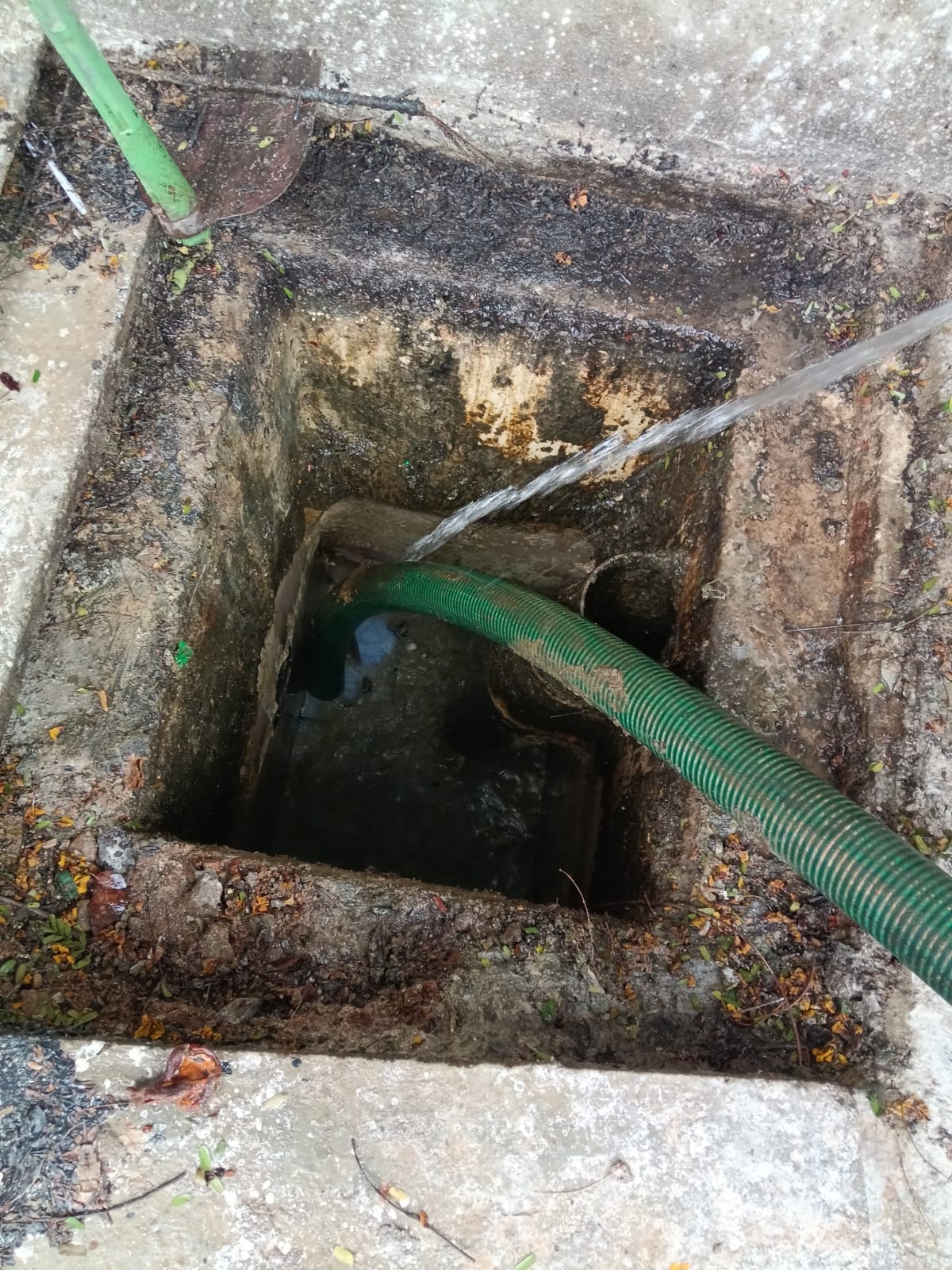 Septic Tank Cleaning Service