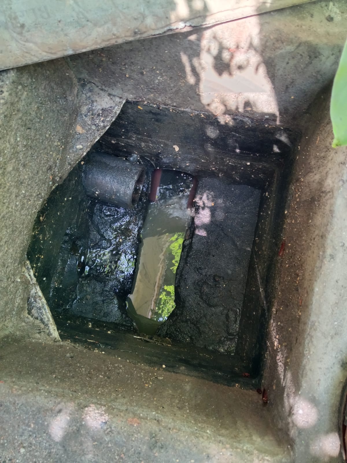 STP Plant Cleaning Services